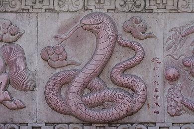 亚马逊或泄露《宝可梦传说Z-A》将于8月15日发售